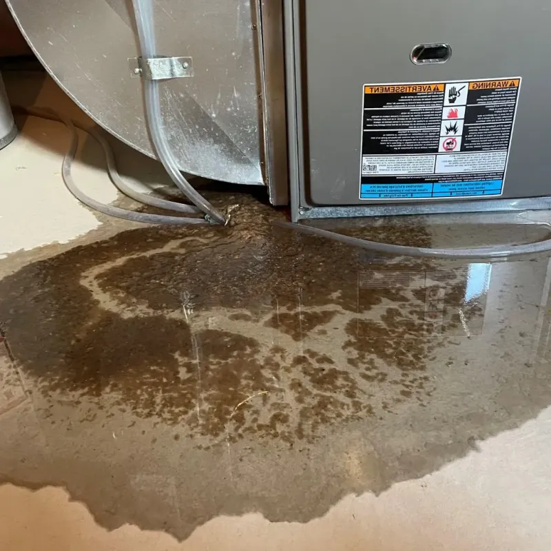 Pipe Burst and Leak Restoration in Hampden County, MA